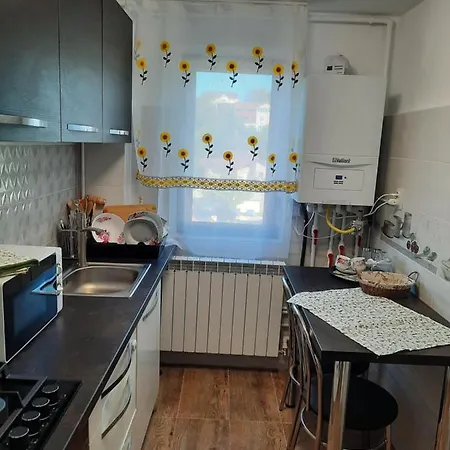 In Regim Hotelier Apartment Deva